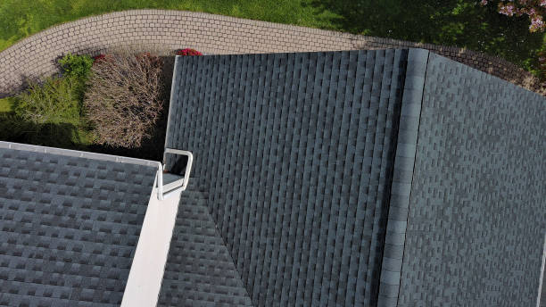 Best Roof Leak Repair  in Terrell Hills, TX