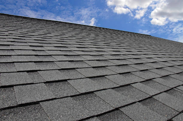 Best Storm Damage Roof Repair  in Terrell Hills, TX